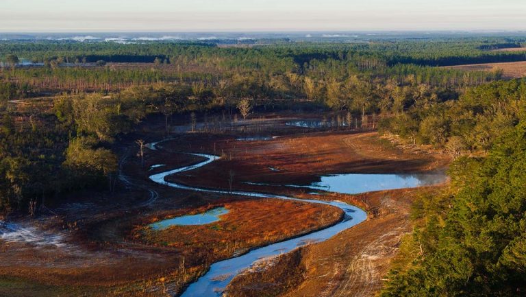 New golf resort in Florida starts construction with famous designer